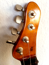 Dulcimer-Gitarre 1 Bau 15.jpg